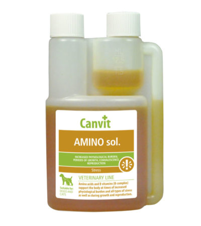 CANVIT - 